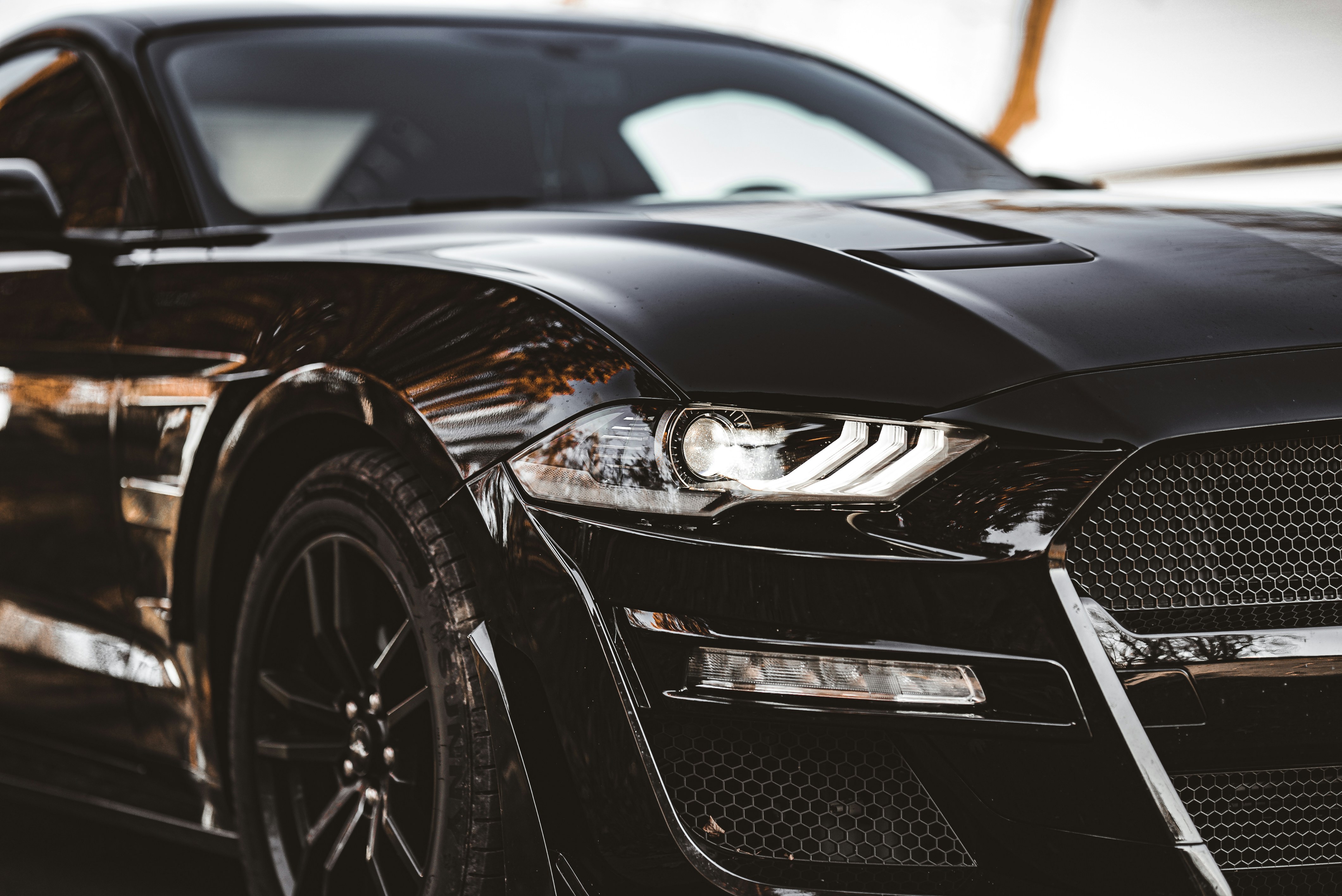 Exterior Detailing service